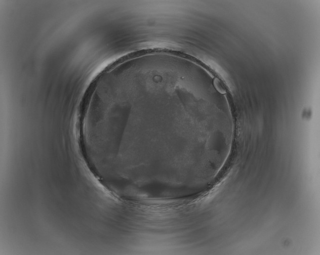 X0000094790983200711161429