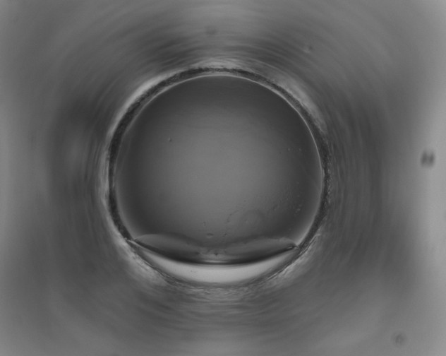 X0000094790984200711161429