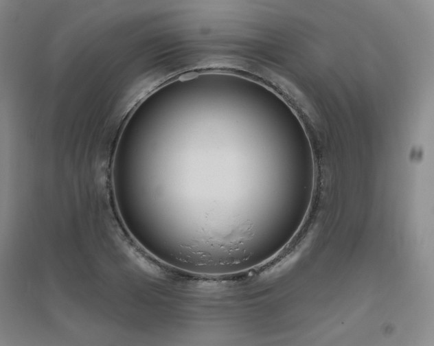 X0000094790985200711161429