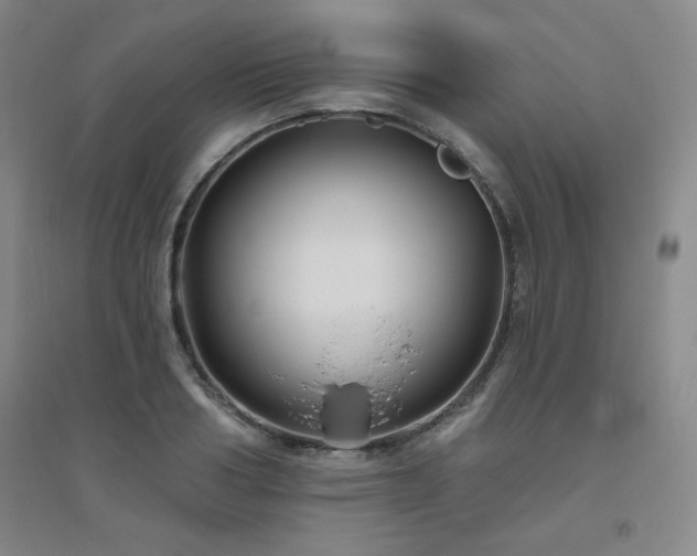 X0000094790986200711161429