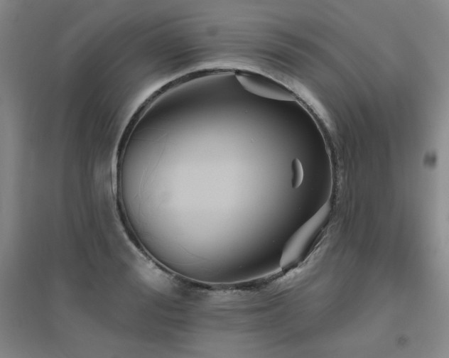 X0000094790988200711161429