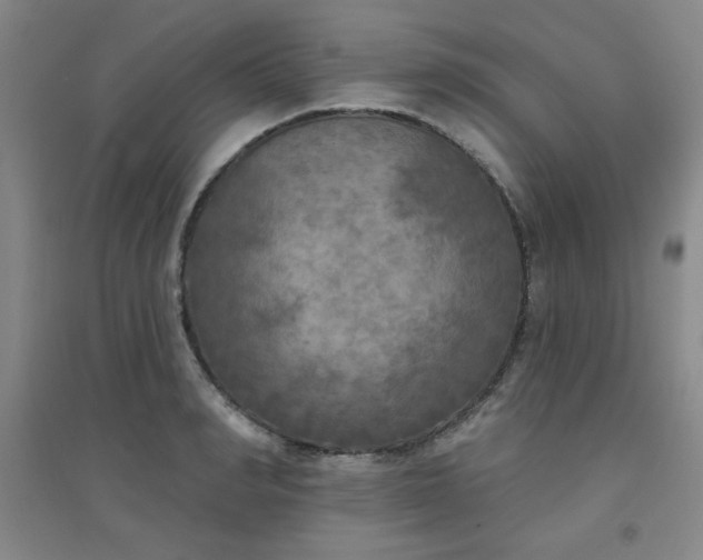 X0000094790990200711161429