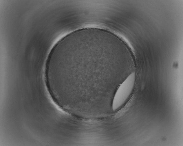 X0000094790991200711161429