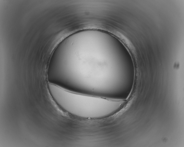 X0000094790993200711161429