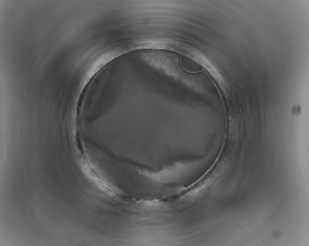 X0000094790994200711161429