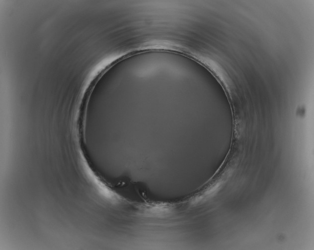 X0000094790995200711161429