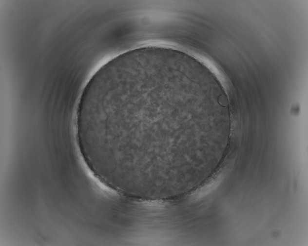 X0000094790999200711161429