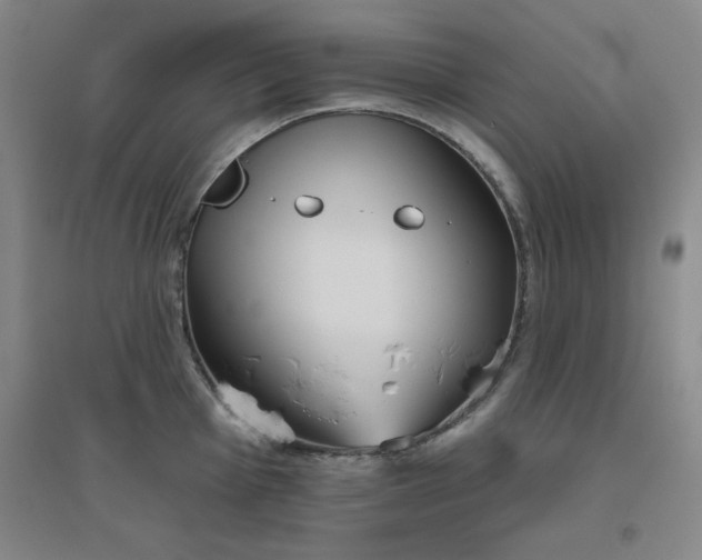 X0000094791001200711161429