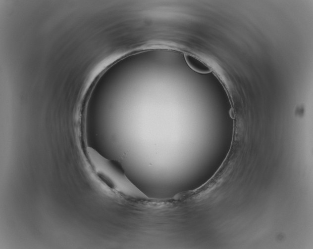 X0000094791003200711161429
