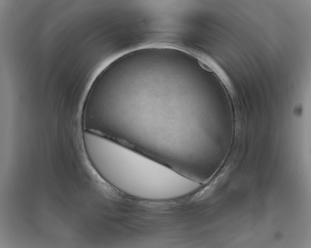 X0000094791004200711161429