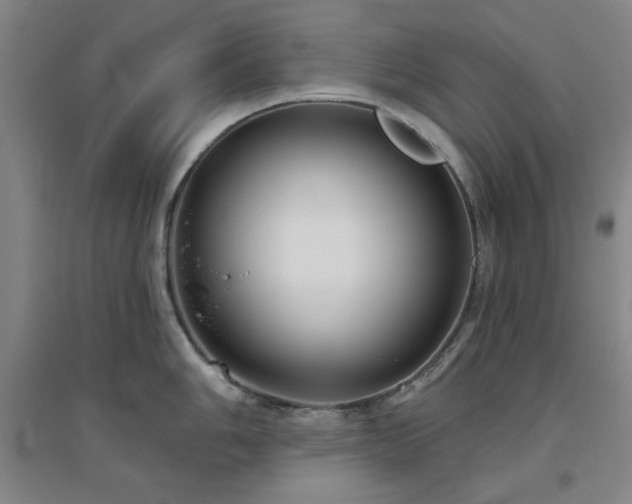X0000094791006200711161429