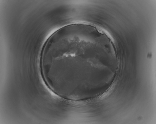 X0000094791007200711161429