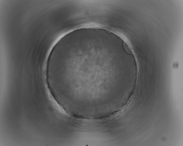X0000094791008200711161429