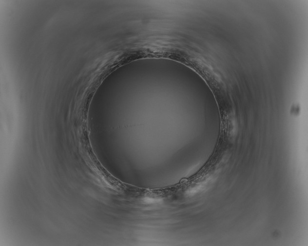 X0000094791009200711161428