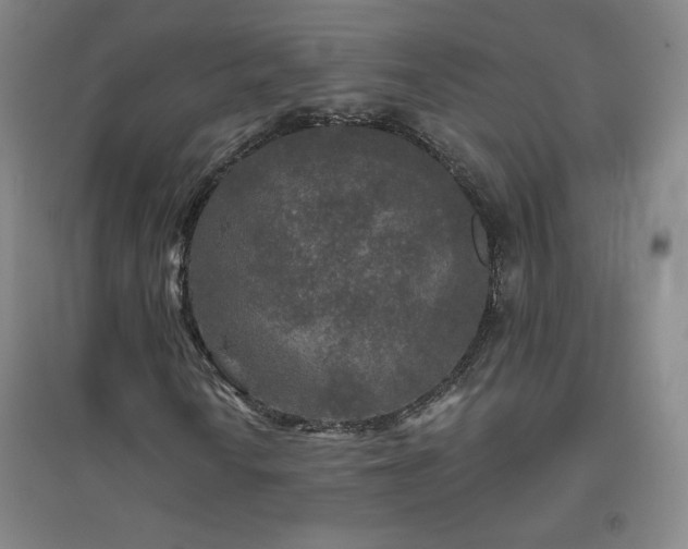 X0000094791010200711161428