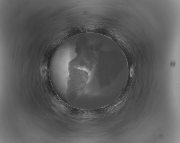 X0000094791011200711161428