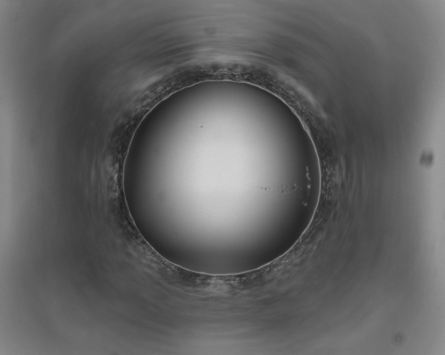 X0000094791013200711161428
