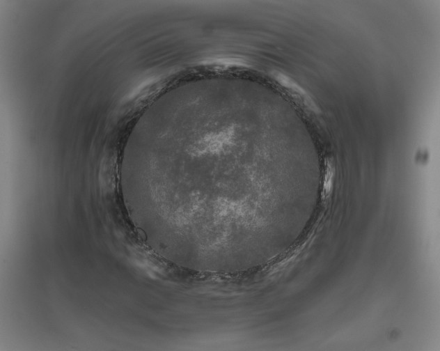 X0000094791014200711161428