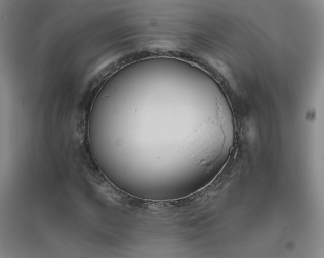 X0000094791015200711161428