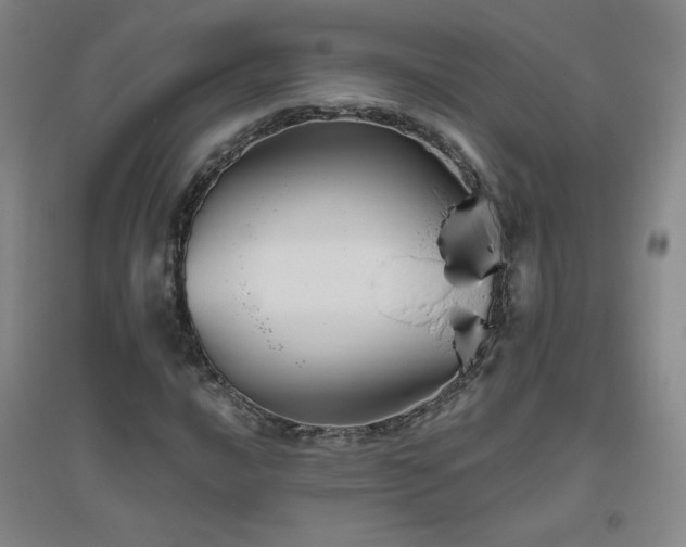 X0000094791016200711161428