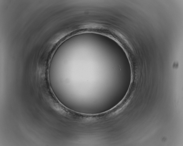 X0000094791017200711161428