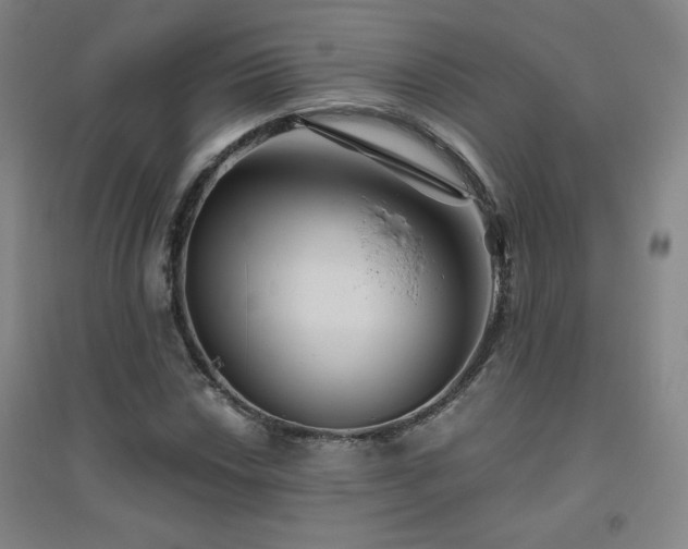 X0000094791018200711161428