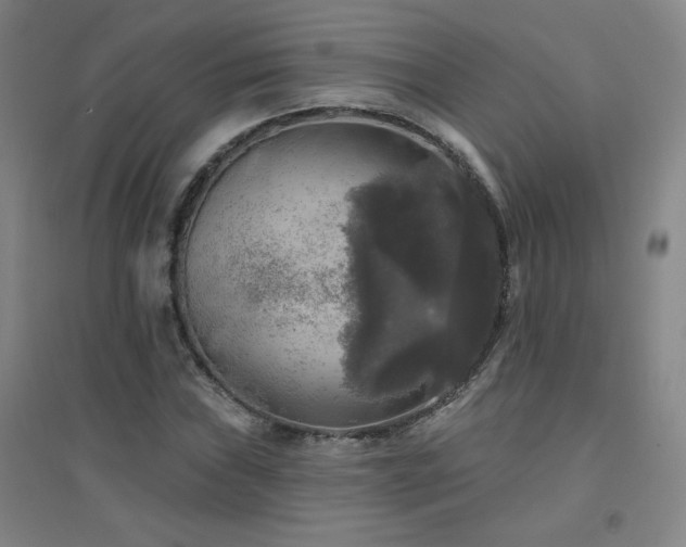 X0000094791019200711161428
