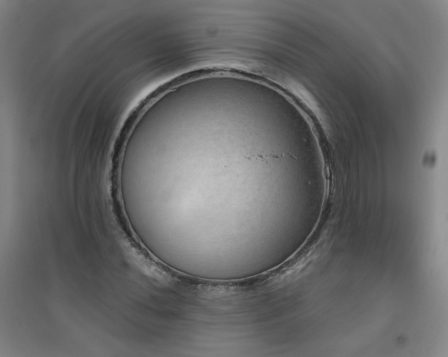 X0000094791020200711161428