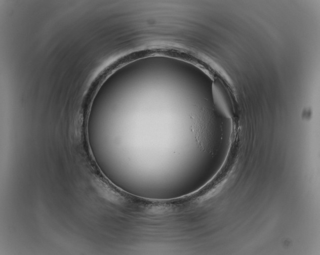 X0000094791021200711161428