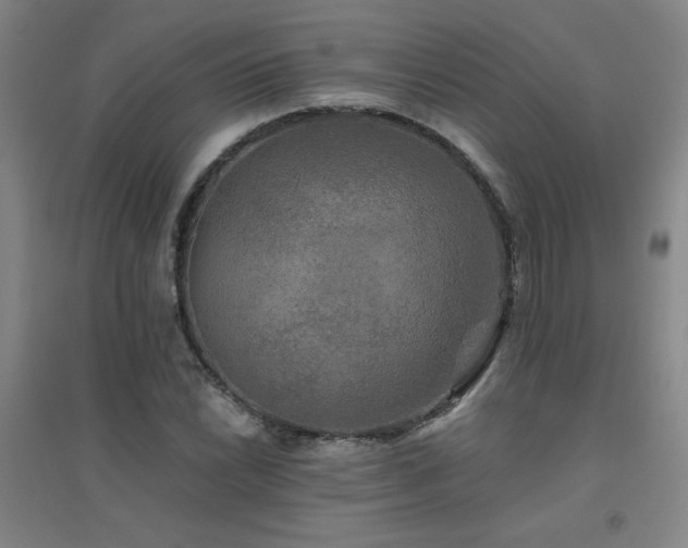 X0000094791022200711161429