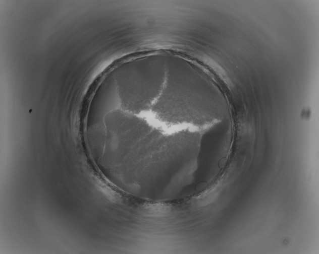 X0000094791023200711161429