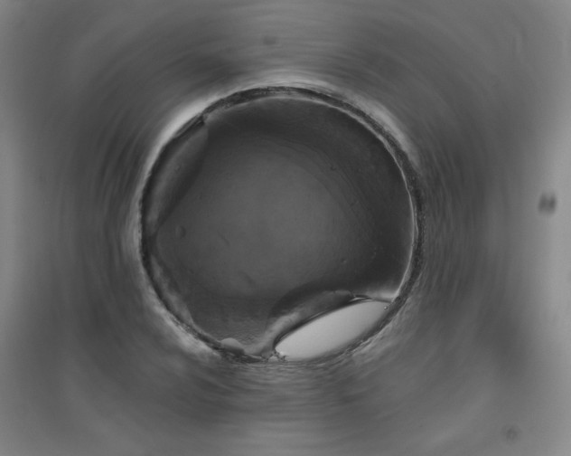 X0000094791024200711161429