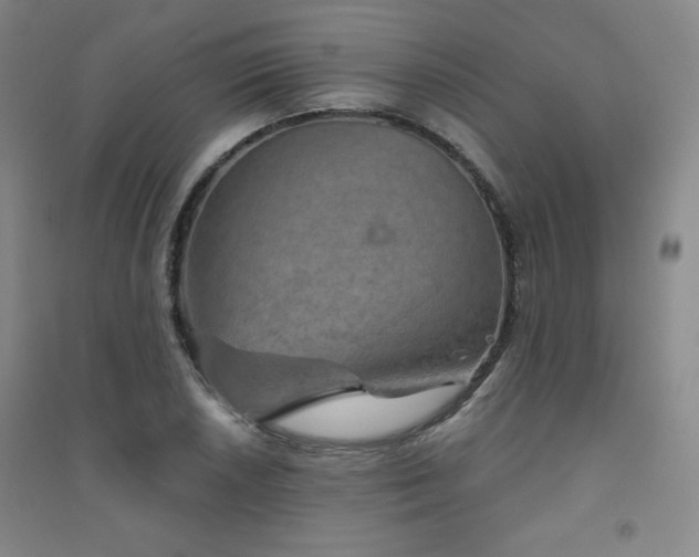 X0000094791026200711161429
