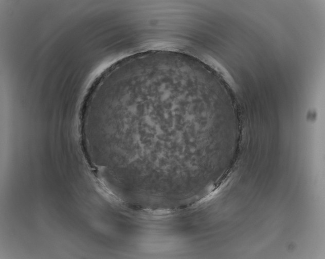 X0000094791027200711161429