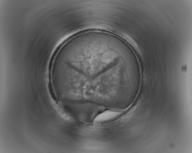 X0000094791028200711161429