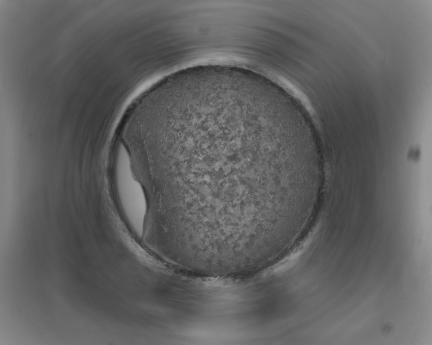 X0000094791029200711161429