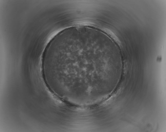 X0000094791031200711161429