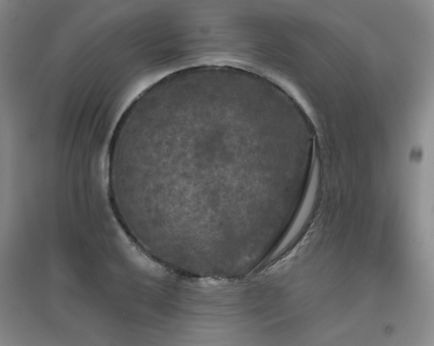 X0000094791032200711161429