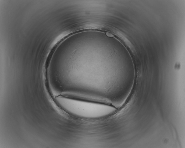 X0000094791034200711161429