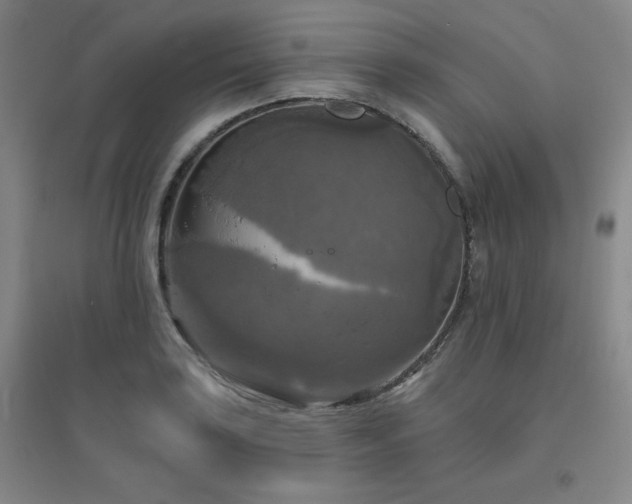 X0000094791035200711161429