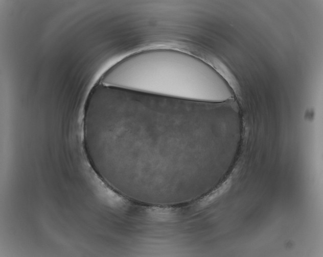X0000094791036200711161429