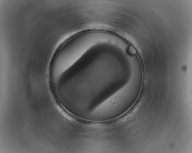 X0000094791037200711161429