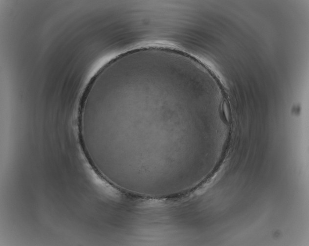 X0000094791038200711161429