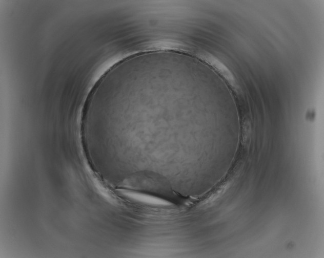 X0000094791039200711161429