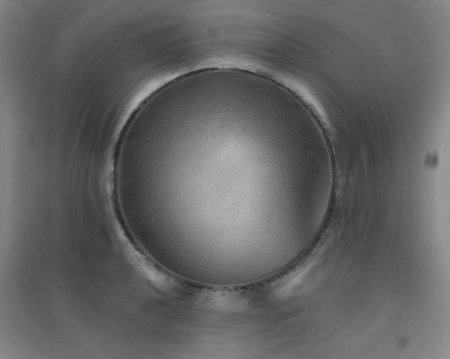 X0000094791040200711161429