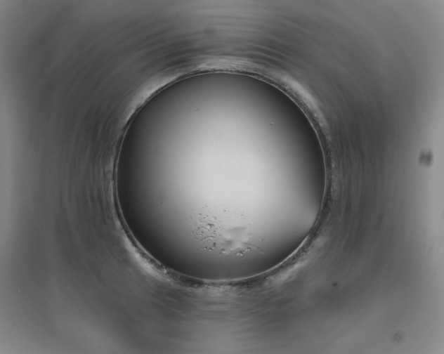 X0000094791041200711161429