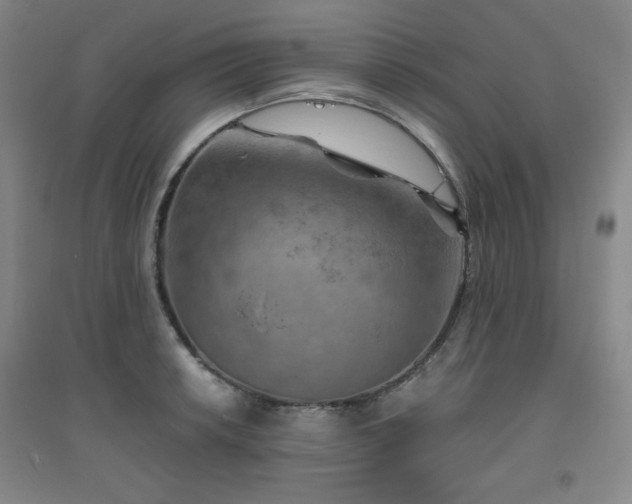 X0000094791042200711161429