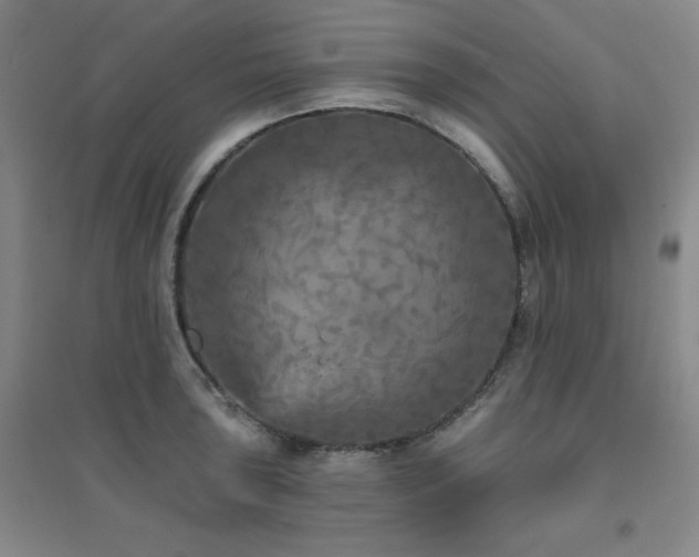 X0000094791043200711161429