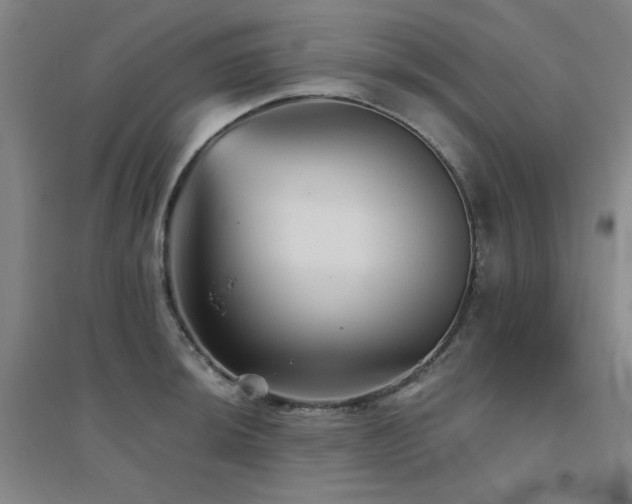 X0000094791044200711161429