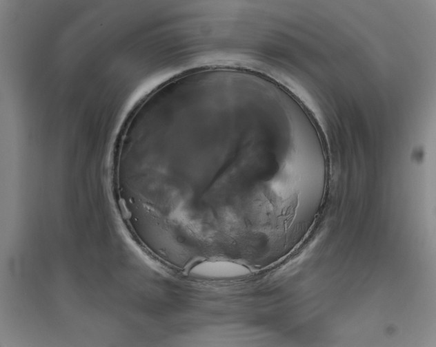 X0000094791045200711161429